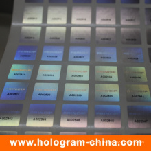 Kundenspezifischer Laser-Hologramm-Aufkleber der Reihenzahl-3D